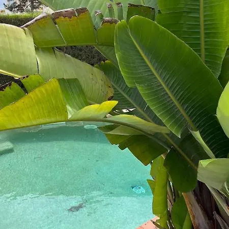 Сasa de vacaciones Ocean, Surf, Golf Private With Pool Near Lagoon Casal do Narcizo